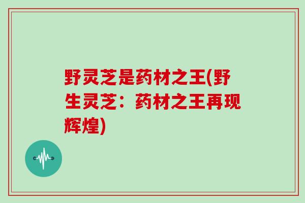 野灵芝是药材之王(野生灵芝：药材之王再现辉煌)