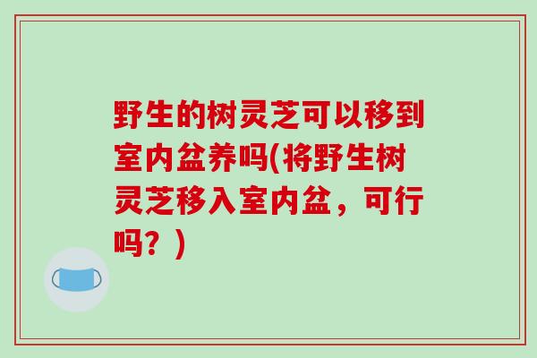 野生的树灵芝可以移到室内盆养吗(将野生树灵芝移入室内盆，可行吗？)