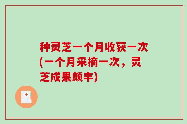 种灵芝一个月收获一次(一个月采摘一次，灵芝成果颇丰)