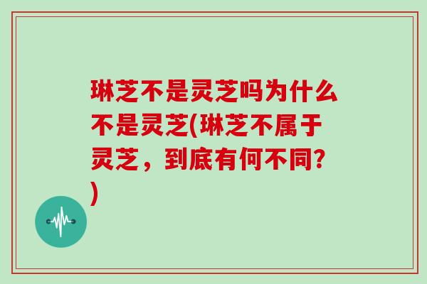 琳芝不是灵芝吗为什么不是灵芝(琳芝不属于灵芝，到底有何不同？)