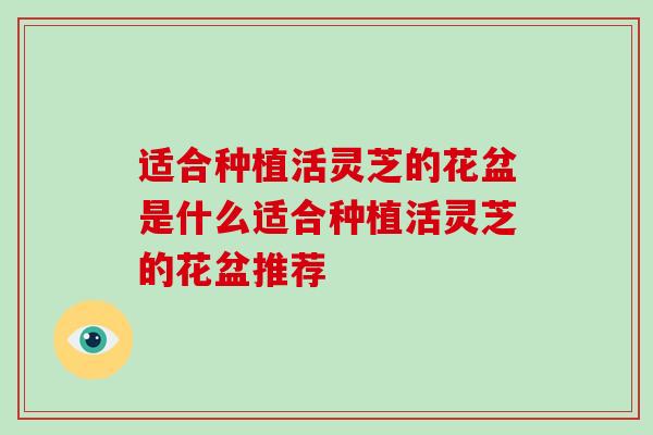适合种植活灵芝的花盆是什么适合种植活灵芝的花盆推荐