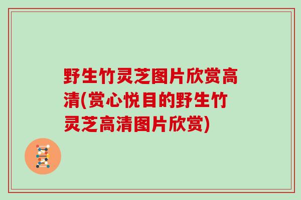 野生竹灵芝图片欣赏高清(赏心悦目的野生竹灵芝高清图片欣赏)