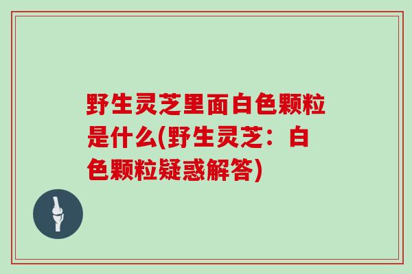 野生灵芝里面白色颗粒是什么(野生灵芝：白色颗粒疑惑解答)
