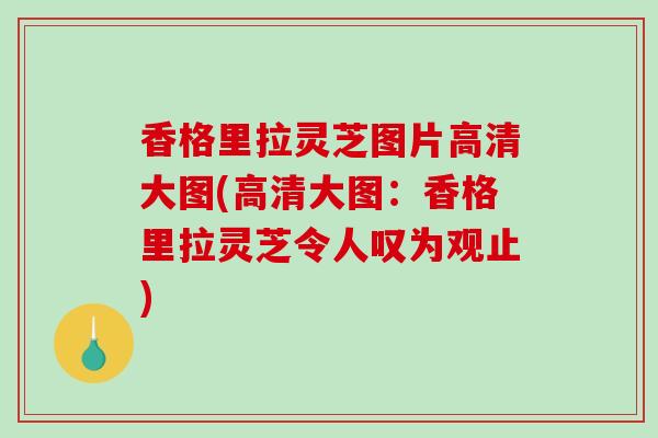 香格里拉灵芝图片高清大图(高清大图：香格里拉灵芝令人叹为观止)