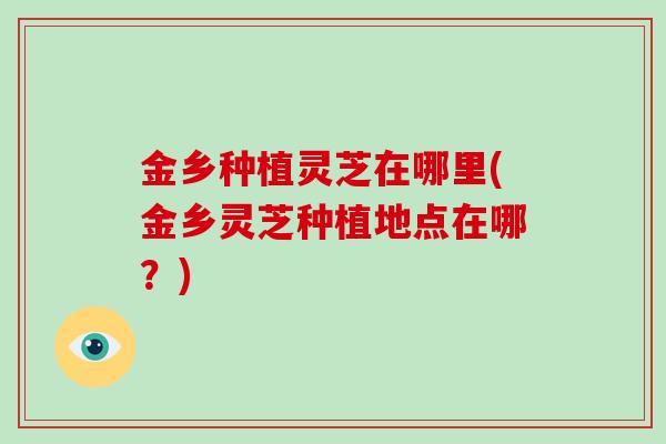 金乡种植灵芝在哪里(金乡灵芝种植地点在哪？)
