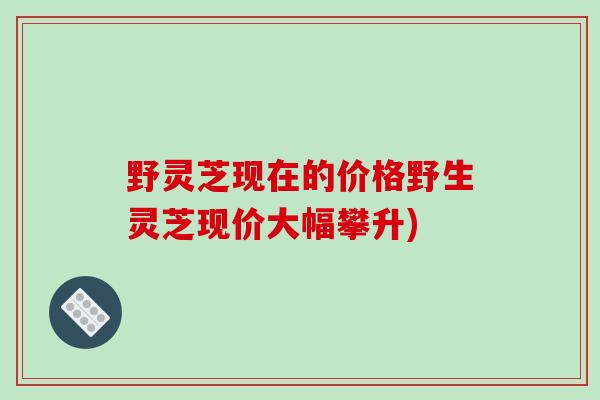 野灵芝现在的价格野生灵芝现价大幅攀升)