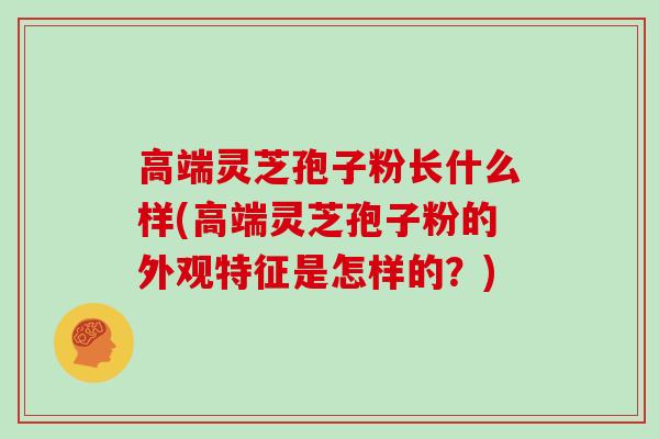 高端灵芝孢子粉长什么样(高端灵芝孢子粉的外观特征是怎样的？)