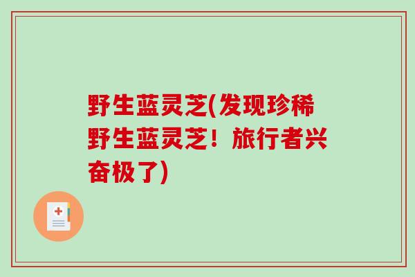 野生蓝灵芝(发现珍稀野生蓝灵芝！旅行者兴奋极了)