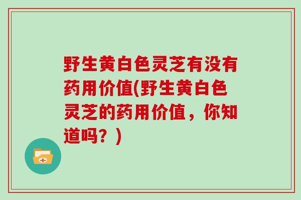 野生黄白色灵芝有没有药用价值(野生黄白色灵芝的药用价值，你知道吗？)