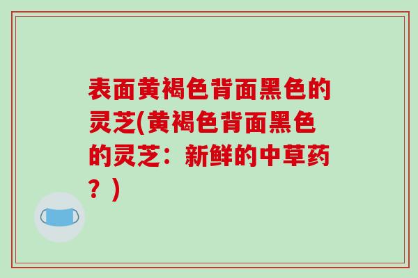 表面黄褐色背面黑色的灵芝(黄褐色背面黑色的灵芝：新鲜的中草药？)