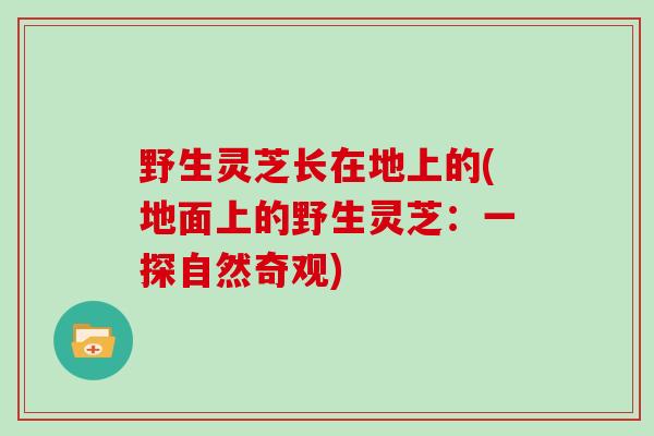 野生灵芝长在地上的(地面上的野生灵芝：一探自然奇观)