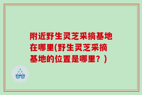 附近野生灵芝采摘基地在哪里(野生灵芝采摘基地的位置是哪里？)