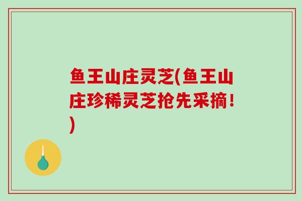 鱼王山庄灵芝(鱼王山庄珍稀灵芝抢先采摘！)
