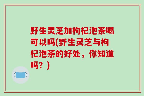 野生灵芝加枸杞泡茶喝可以吗(野生灵芝与枸杞泡茶的好处，你知道吗？)