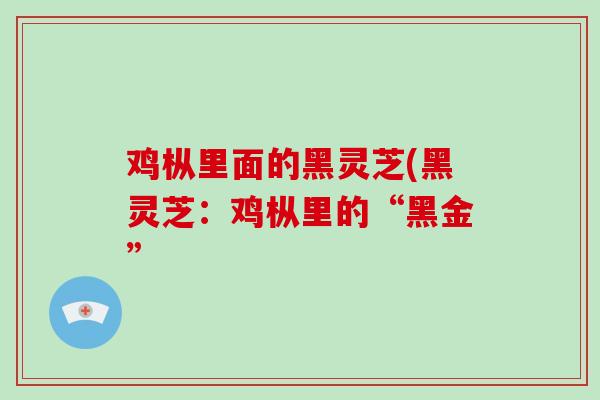鸡枞里面的黑灵芝(黑灵芝：鸡枞里的“黑金”