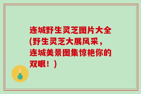 连城野生灵芝图片大全(野生灵芝大展风采，连城美景图集惊艳你的双眼！)