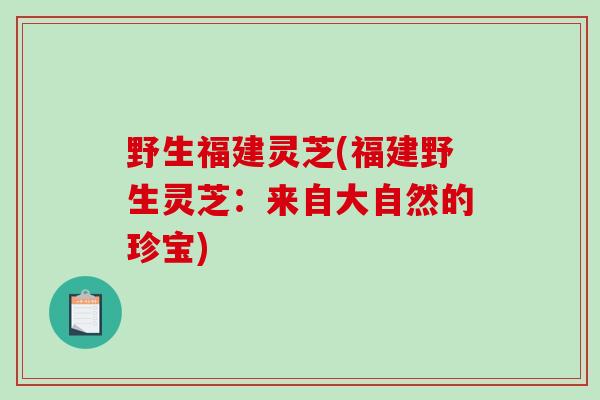 野生福建灵芝(福建野生灵芝：来自大自然的珍宝)