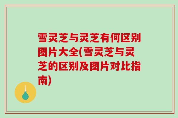 雪灵芝与灵芝有何区别图片大全(雪灵芝与灵芝的区别及图片对比指南)