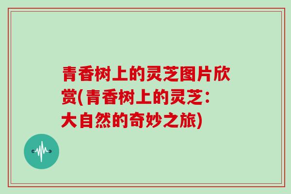 青香树上的灵芝图片欣赏(青香树上的灵芝：大自然的奇妙之旅)
