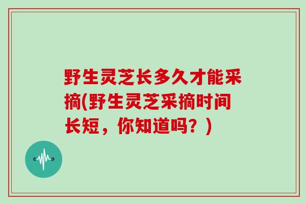 野生灵芝长多久才能采摘(野生灵芝采摘时间长短，你知道吗？)