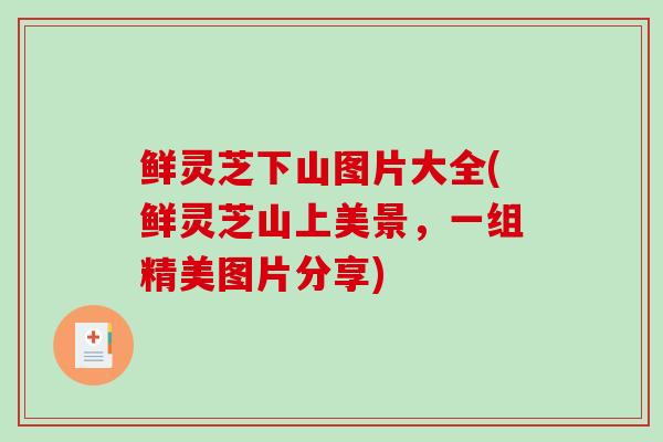 鲜灵芝下山图片大全(鲜灵芝山上美景，一组精美图片分享)