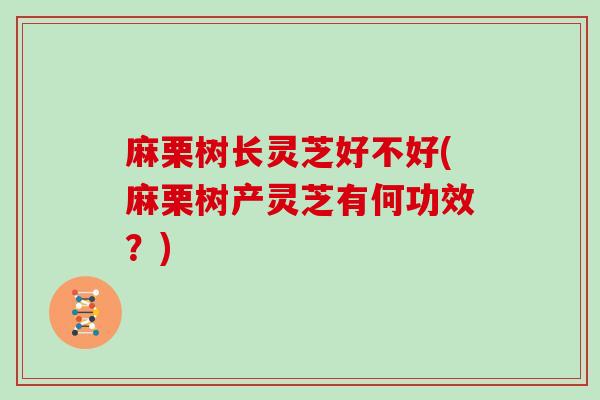 麻栗树长灵芝好不好(麻栗树产灵芝有何功效？)