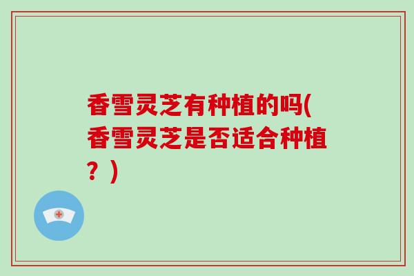 香雪灵芝有种植的吗(香雪灵芝是否适合种植？)