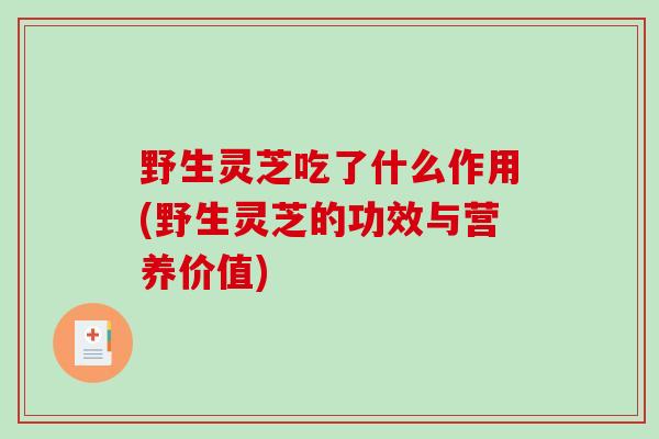 野生灵芝吃了什么作用(野生灵芝的功效与营养价值)
