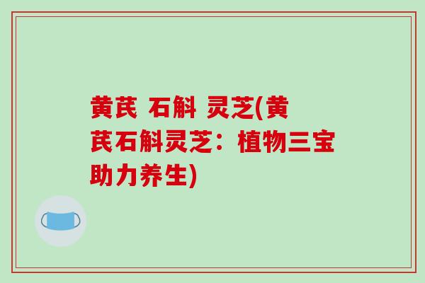 黄芪 石斛 灵芝(黄芪石斛灵芝：植物三宝助力养生)