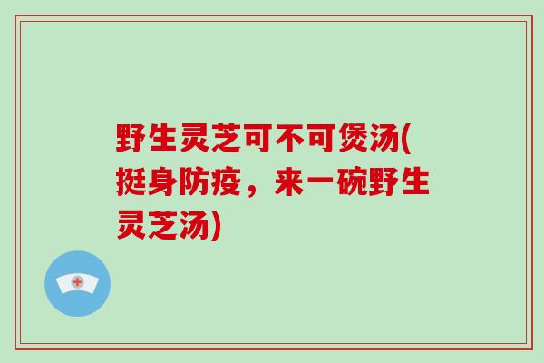 野生灵芝可不可煲汤(挺身防疫，来一碗野生灵芝汤)