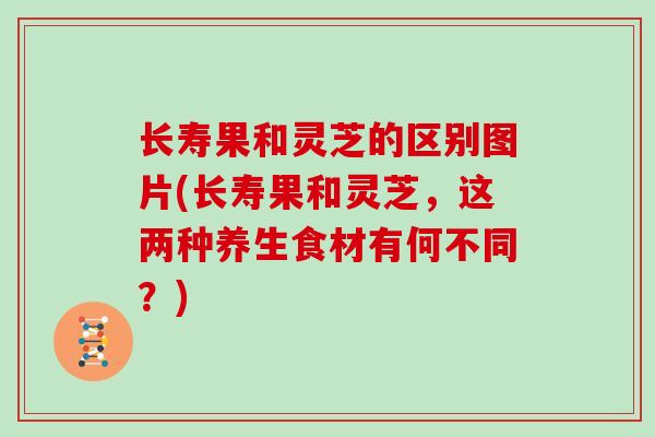 长寿果和灵芝的区别图片(长寿果和灵芝，这两种养生食材有何不同？)