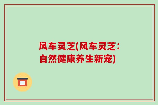 风车灵芝(风车灵芝：自然健康养生新宠)