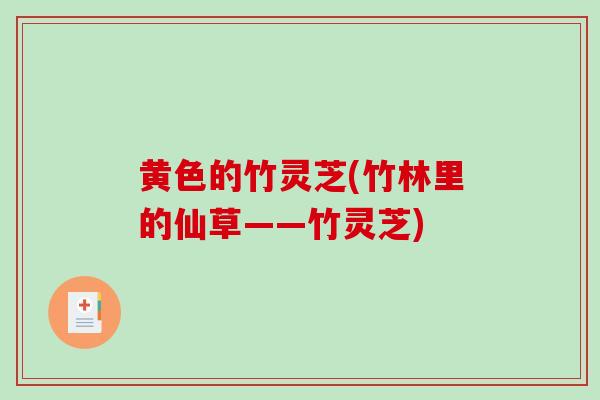 黄色的竹灵芝(竹林里的仙草——竹灵芝)