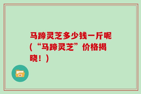 马蹄灵芝多少钱一斤呢(“马蹄灵芝”价格揭晓！)
