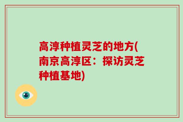 高淳种植灵芝的地方(南京高淳区：探访灵芝种植基地)