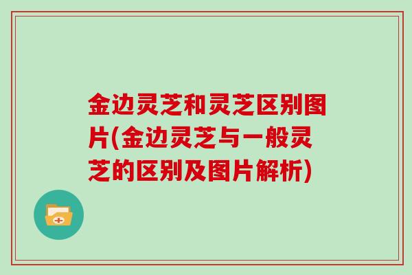 金边灵芝和灵芝区别图片(金边灵芝与一般灵芝的区别及图片解析)