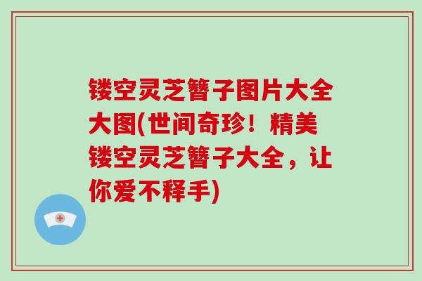 镂空灵芝簪子图片大全大图(世间奇珍！精美镂空灵芝簪子大全，让你爱不释手)