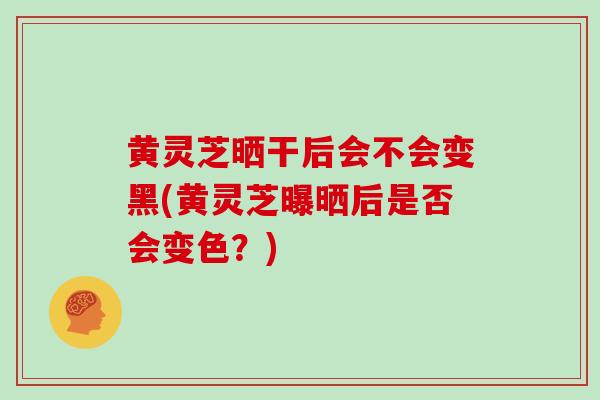 黄灵芝晒干后会不会变黑(黄灵芝曝晒后是否会变色？)