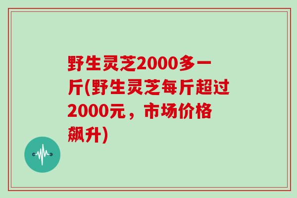 野生灵芝2000多一斤(野生灵芝每斤超过2000元，市场价格飙升)