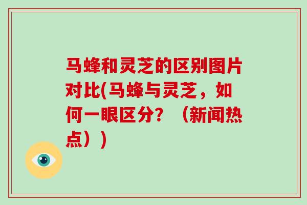 马蜂和灵芝的区别图片对比(马蜂与灵芝，如何一眼区分？（新闻热点）)