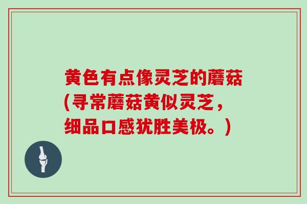 黄色有点像灵芝的蘑菇(寻常蘑菇黄似灵芝，细品口感犹胜美极。)