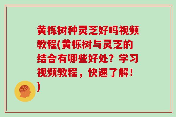 黄栎树种灵芝好吗视频教程(黄栎树与灵芝的结合有哪些好处？学习视频教程，快速了解！)