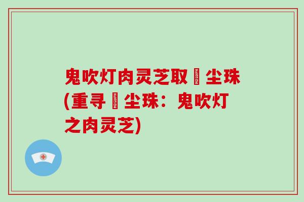 鬼吹灯肉灵芝取雮尘珠(重寻雮尘珠：鬼吹灯之肉灵芝)