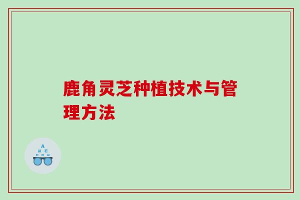 鹿角灵芝种植技术与管理方法