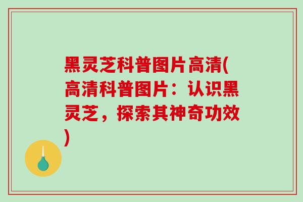 黑灵芝科普图片高清(高清科普图片：认识黑灵芝，探索其神奇功效)