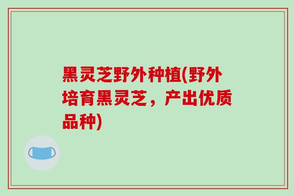 黑灵芝野外种植(野外培育黑灵芝，产出优质品种)