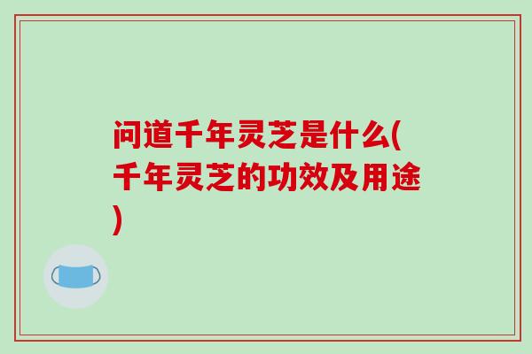 问道千年灵芝是什么(千年灵芝的功效及用途)