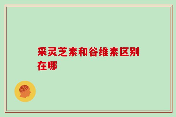 采灵芝素和谷维素区别在哪