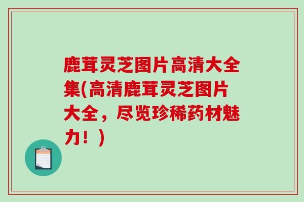 鹿茸灵芝图片高清大全集(高清鹿茸灵芝图片大全，尽览珍稀药材魅力！)