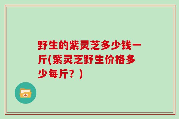 野生的紫灵芝多少钱一斤(紫灵芝野生价格多少每斤？)